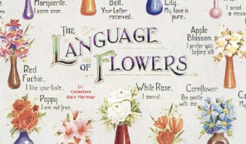 Езикът на цветята